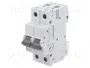 ETI POLAM Interruptor magnetotérmico ETIMAT P10 10A 1+N C10