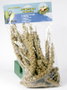Nayeco Gran Pasto Panizo 250g Vet