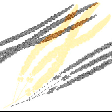 Nayeco Gran Pasto Panizo 250 gr Semillas para Aves Canarios Diamantes Periquitos Agapornis