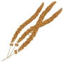 Nayeco Gran Pasto Panizo 325 g