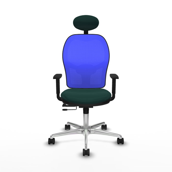 PIQUERAS Y CRESPO Silla de oficina Jorquera Verde botella y Azul