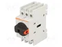 LOVATO ELECTRIC Interruptor de aislamiento GA 3 polos 63A