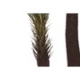 DKD Home Decor Planta Sago Cycas Verde 80x80x170 cm