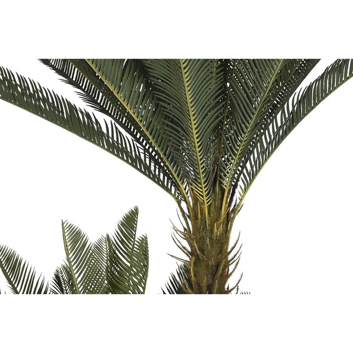 DKD Home Decor Planta Sago Cycas Verde 80x80x170 cm DKD Home Decor Planta Sago Cycas Verde 80x80x170 cm