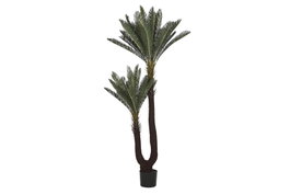 DKD Home Decor Planta Sago Cycas Verde 80x80x170 cm