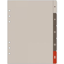 Finocam Separadores Laterales Para Agendas De Anillas Open R1063 Juego 5 Unidades 155x215 mm