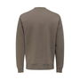 Sudadera sin Capucha Hombre Only & Sons Onsdawson Reg Crew Vd Falcon Marrón