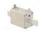 Mersen 1B169.000000 NH1 160A gG 500V<|image>