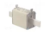 Mersen 1B169.000000 NH1 160A gG 500V<|image>