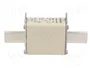 Mersen 1B169.000000 NH1 160A gG 500V<|image>