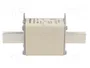 Mersen 1B169.000000 NH1 160A gG 500V<|image>