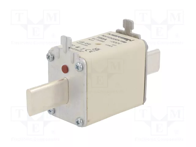 Mersen 1B169.000000 NH1 160A gG 500V<|image>