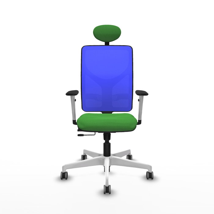 PIQUERAS Y CRESPO Silla de oficina Motilla con mecanismo Sincro/Traslack, Tela Verde y Malla Azul PIQUERAS Y CRESPO Silla de oficina Motilla con mecanismo Sincro/Traslack, Tela Verde y Malla Azul