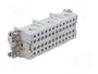 ILME JSEF24 Conector HDC Hembra de 24 Pines