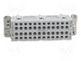 ILME JSEF24 Conector HDC Hembra de 24 Pines