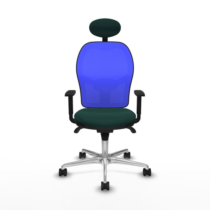 PIQUERAS Y CRESPO Silla de oficina Jorquera con mecanismo Sincro, Verde botella y Azul PIQUERAS Y CRESPO Silla de oficina Jorquera con mecanismo Sincro, Verde botella y Azul