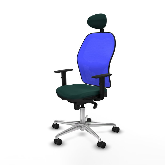 PIQUERAS Y CRESPO Silla de oficina Jorquera con mecanismo Sincro, Verde botella y Azul PIQUERAS Y CRESPO Silla de oficina Jorquera con mecanismo Sincro, Verde botella y Azul
