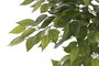 DKD Home Decor Árbol Ficus Verde y Marrón 75x75x150 cm