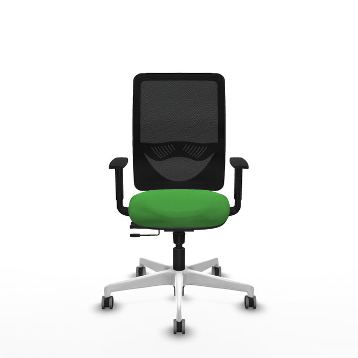 PIQUERAS Y CRESPO Silla de oficina Zulema Verde con mecanismo Sincro/Traslack PIQUERAS Y CRESPO Silla de oficina Zulema Verde con mecanismo Sincro/Traslack
