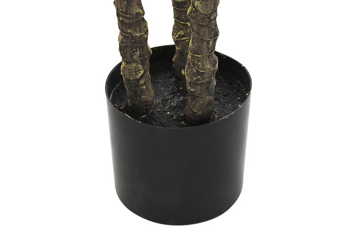 DKD Home Decor Palmera para Terraza y Jardín Verde Beige 90 x 230 x 90 cm (2 Unidades) DKD Home Decor Palmera para Terraza y Jardín Verde Beige 90 x 230 x 90 cm (2 Unidades)