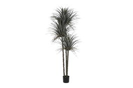 DKD Home Decor Palmera para Terraza y Jardín Verde Beige 90 x 230 x 90 cm (2 Unidades)