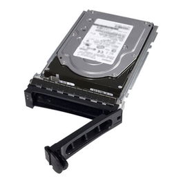 Dell Disco Duro Interno HDD 12TB 3.5 Pulgadas SATA 6Gb/s 7200 rpm para PowerEdge C6420