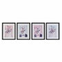 DKD Home Decor Set de 4 Cuadros Enmarcados de Gatos, 35x2x45 cm, Rosa y Negro