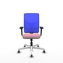 PIQUERAS Y CRESPO Silla de oficina Motilla con mecanismo Sincro, Rosa y Azul