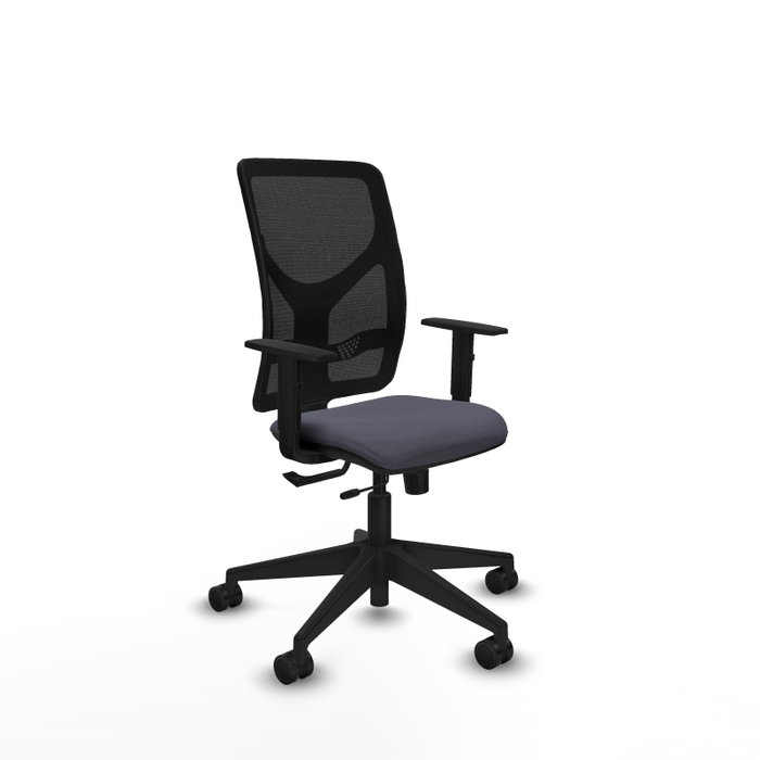 PIQUERAS Y CRESPO Silla de oficina Motilla con mecanismo Sincro/Traslack, Gris oscuro y Negro PIQUERAS Y CRESPO Silla de oficina Motilla con mecanismo Sincro/Traslack, Gris oscuro y Negro