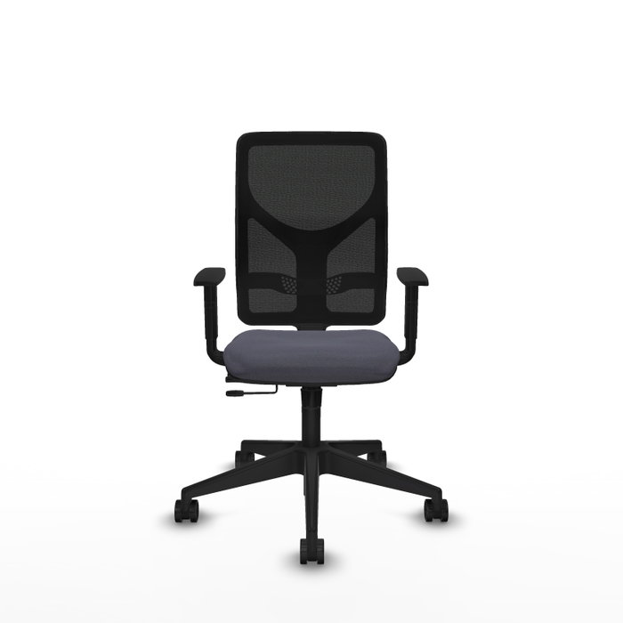 PIQUERAS Y CRESPO Silla de oficina Motilla con mecanismo Sincro/Traslack, Gris oscuro y Negro PIQUERAS Y CRESPO Silla de oficina Motilla con mecanismo Sincro/Traslack, Gris oscuro y Negro
