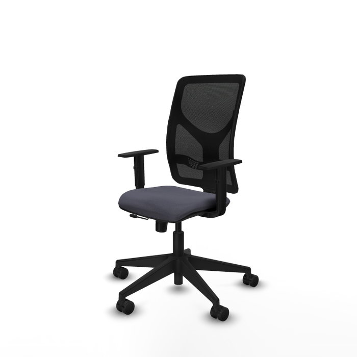 PIQUERAS Y CRESPO Silla de oficina Motilla con mecanismo Sincro/Traslack, Gris oscuro y Negro PIQUERAS Y CRESPO Silla de oficina Motilla con mecanismo Sincro/Traslack, Gris oscuro y Negro