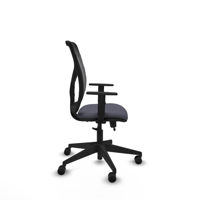 PIQUERAS Y CRESPO Silla de oficina Motilla con mecanismo Sincro/Traslack, Gris oscuro y Negro PIQUERAS Y CRESPO Silla de oficina Motilla con mecanismo Sincro/Traslack, Gris oscuro y Negro