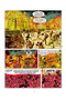 Tebeos Dolmen Editorial S.L. Casacas Azules 1981-1983 de Raoul Cauvin