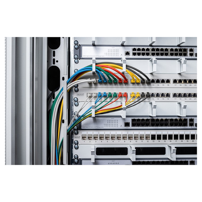 Digitus Cable de conexión CAT 6 U-UTP Slim, 2 m, Azul