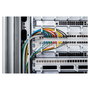 Digitus Cable de conexión CAT 6 U-UTP Slim, 2 m, Azul