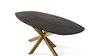 GINER Y COLOMER Mesa de Comedor Ovalada 200 cm, Madera de Acacia con Acabado Nogal y Patas de Araña en Metal Lacado Dorado Mate, Sofisticada y Resistente