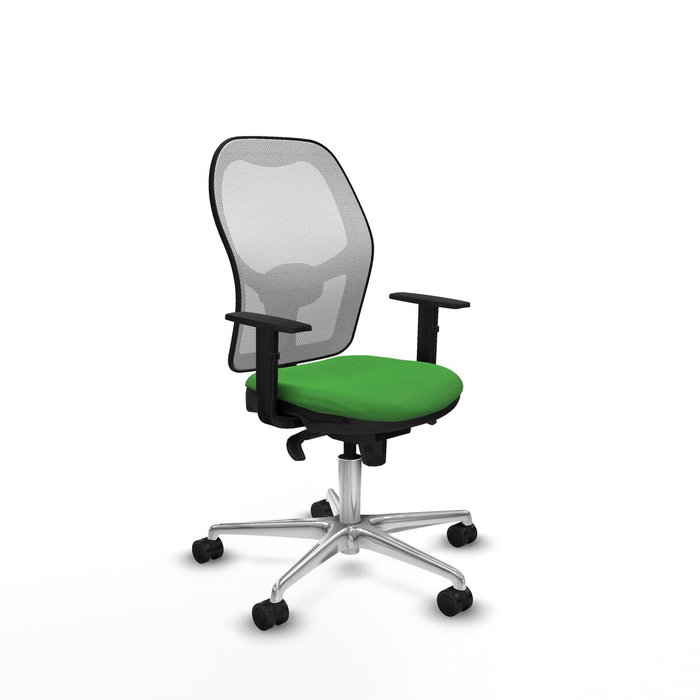 PIQUERAS Y CRESPO Silla de oficina Jorquera Verde y Blanco PIQUERAS Y CRESPO Silla de oficina Jorquera Verde y Blanco
