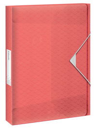 Carpeta De Proyectos Esselte Colour Breeze Pp A4 Gomas 2,5 Cm Coral (Set de 2)