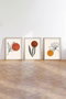 Wallity Huhu215 Cuadro Decorativo Enmarcado 3 Piezas MDF y Madera Maciza 50 x 70 cm