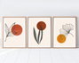 Wallity Huhu215 Cuadro Decorativo Enmarcado 3 Piezas MDF y Madera Maciza 50 x 70 cm