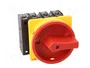 Eaton P3-63/EA/SVB/N Interruptor Principal 63A 3p+N con Parada de Emergencia