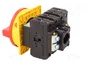 Eaton P3-63/EA/SVB/N Interruptor Principal 63A 3p+N con Parada de Emergencia