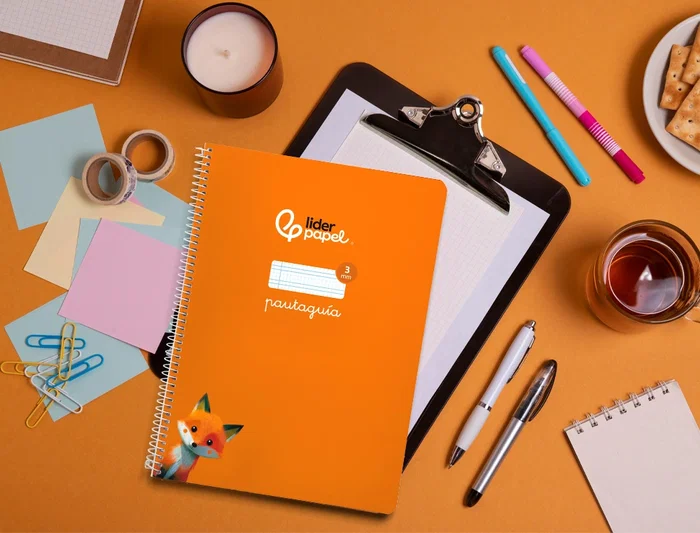 Liderpapel Cuaderno Espiral A4 Pautaguía Tapa Blanda 80 Hojas 75gr Cuadro Pautado 3mm Color Naranja Liderpapel Cuaderno Espiral A4 Pautaguía Tapa Blanda 80 Hojas 75gr Cuadro Pautado 3mm Color Naranja