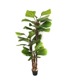 DKD Home Decor Planta Licuala Grandis con Maceta de Cemento Verde y Marrón 60x60x180 cm