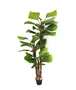 DKD Home Decor Planta Licuala Grandis con Maceta de Cemento Verde y Marrón 60x60x180 cm