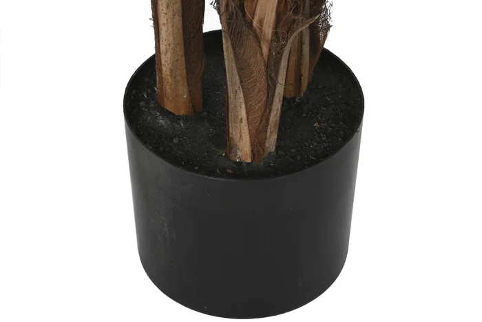 DKD Home Decor Planta Licuala Grandis con Maceta de Cemento Verde y Marrón 60x60x180 cm DKD Home Decor Planta Licuala Grandis con Maceta de Cemento Verde y Marrón 60x60x180 cm