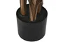 DKD Home Decor Planta Licuala Grandis con Maceta de Cemento Verde y Marrón 60x60x180 cm
