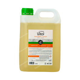 BELTRAN VITAL Lavavajillas Multiusos 5L Piel Sensible Sin Alérgenos