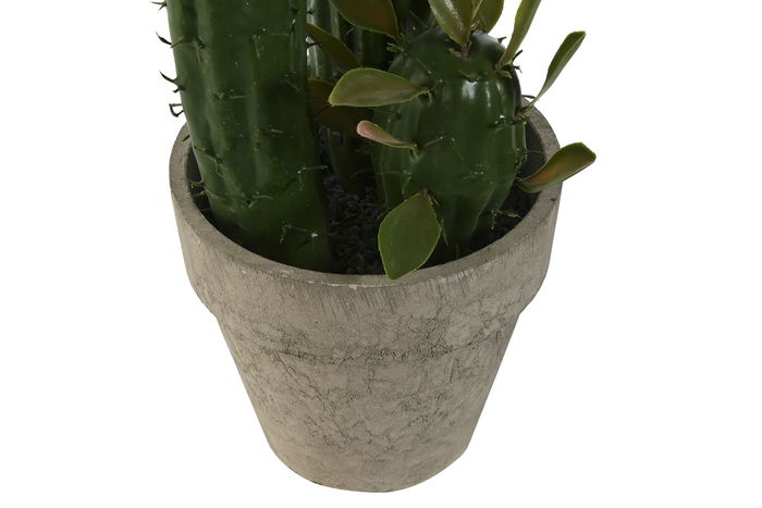 DKD Home Decor Planta Tropical Verde 12 x 28 x 10 cm (6 Unidades) Foam y PP