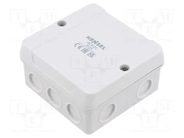 HENSEL Caja de conexiones ENYCASE® gris IP55